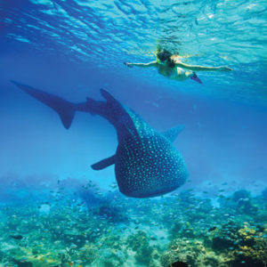 20-may-shutterstock_299421719_cmyk