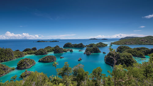 22-jan-cruises-rajaampat