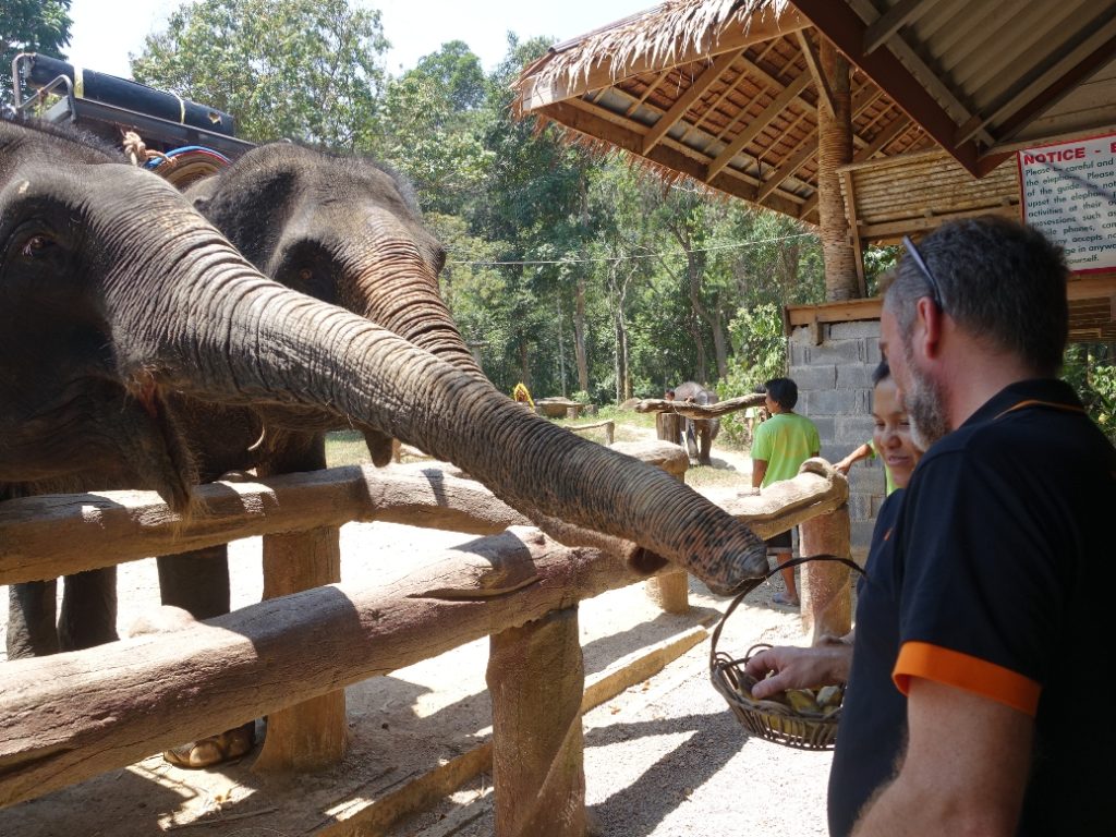 a-feeding-session-at-a-thai-camp