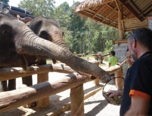 aug5_sustainable-travel1-copy