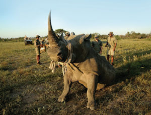 aug5_sustainable-travel2