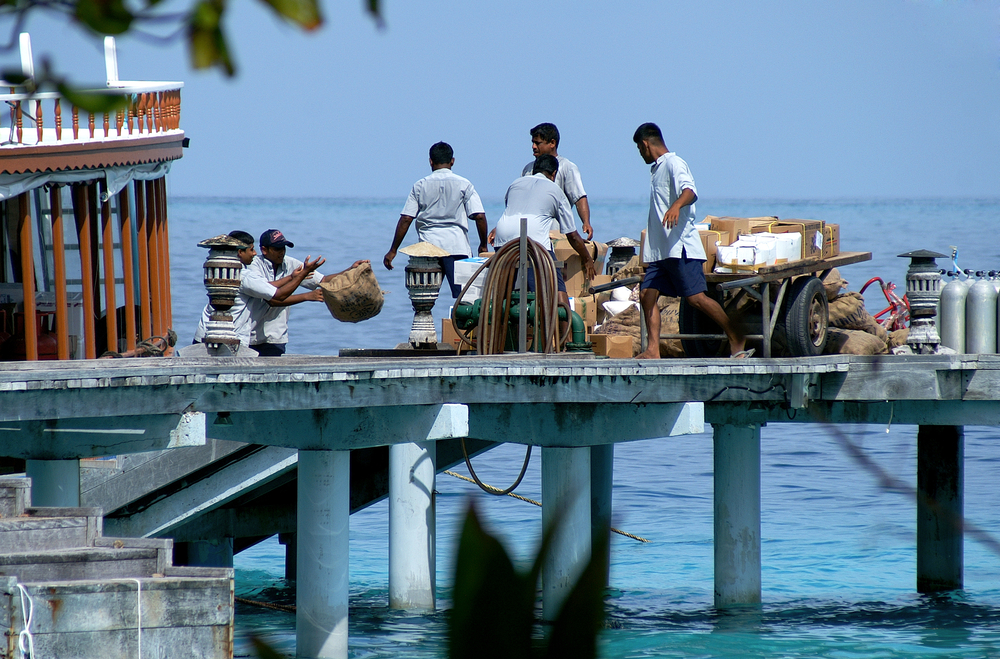 maldives_workers