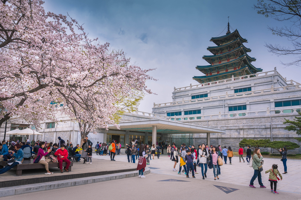 gyeongbokgung-palace-in-spring