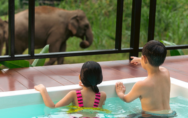 Anantara Golden Triangle Jungle Bubble - Travel News, Insights & Resources.