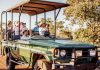 Intrepid strengthens Australian offering with Wild Bush Luxury acquisition