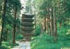Five major Japanese transport leaders make pilgrimage routes more accessible for travellers