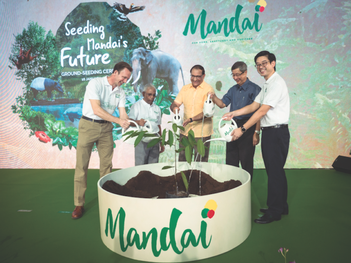 mph-ground-seeding-event-_-planting-of-tree-sapling-small