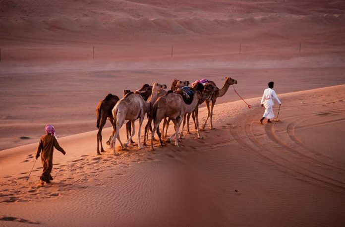 Oman wahiba sands nomads