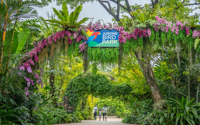 Jurong Bird Park canopy 640