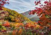 Korea wellness destination for travel