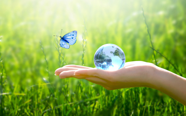 Cathay Pacific brings back tree-planting initiative in South-east Asia