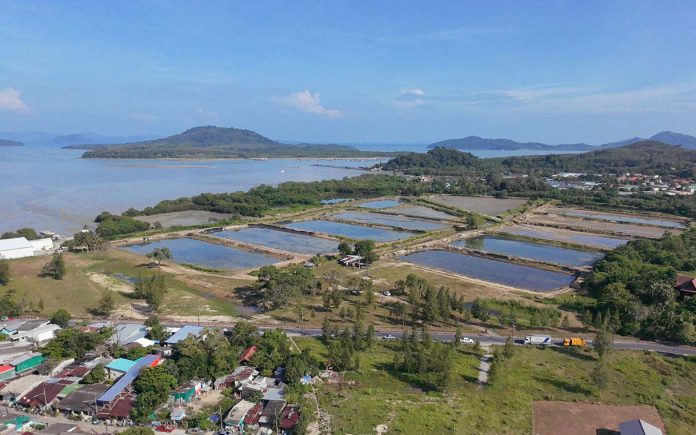 Marina-Project-aerial-view