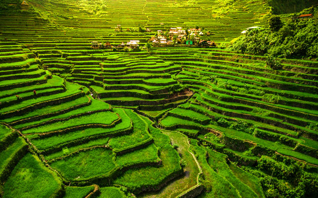 World-heritage-Ifugao-rice-terraces-in-Batad,-northern-Luzon,-Philippines_(shutterstock_634025597)_640