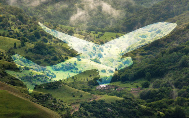 oneworld and partners launch fund to advance SAF technologies