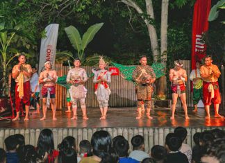 Rural Cambodian dance experience brings traditional arts to life
