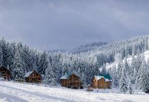 Complex luxury trips keep travel advisors busy despite AI planning tools