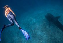 Swan Hellenic adds scuba diving to Raja Ampat Voyages