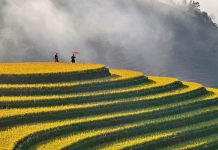 Agoda survey highlights growing demand for purpose-led travel in Asia